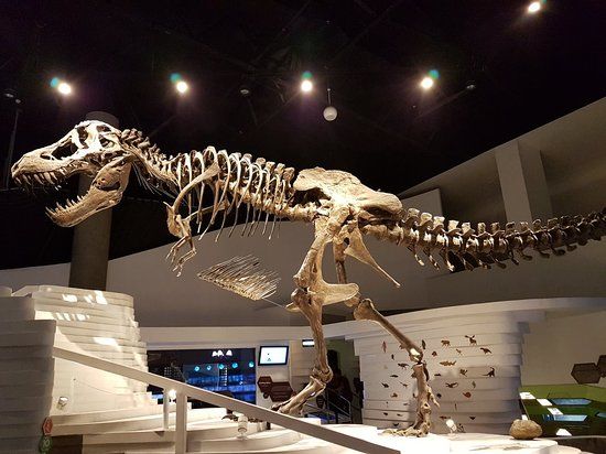 The Mind Museum i Taguig